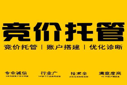家电行业SEM推广策略：从广告到转化的全过程